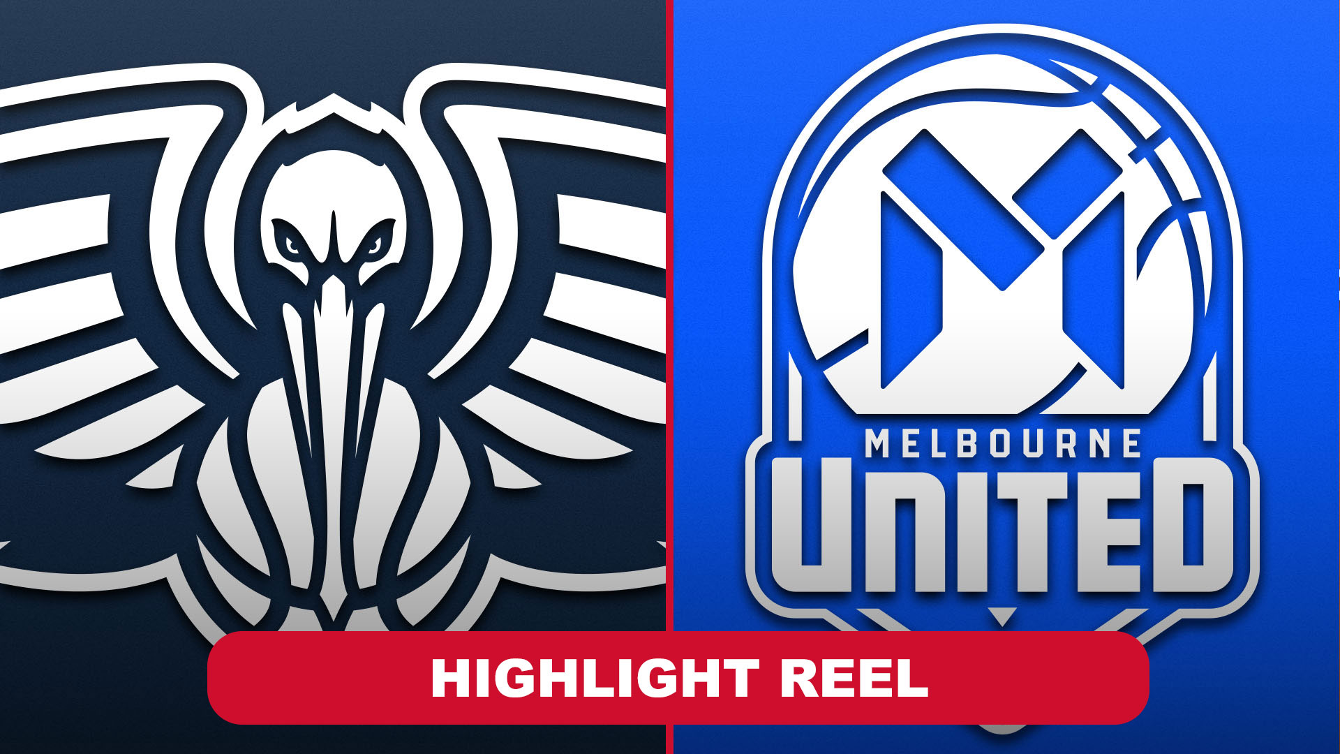 Highlight Reel: Pelicans vs. Melbourne 10/3/2025